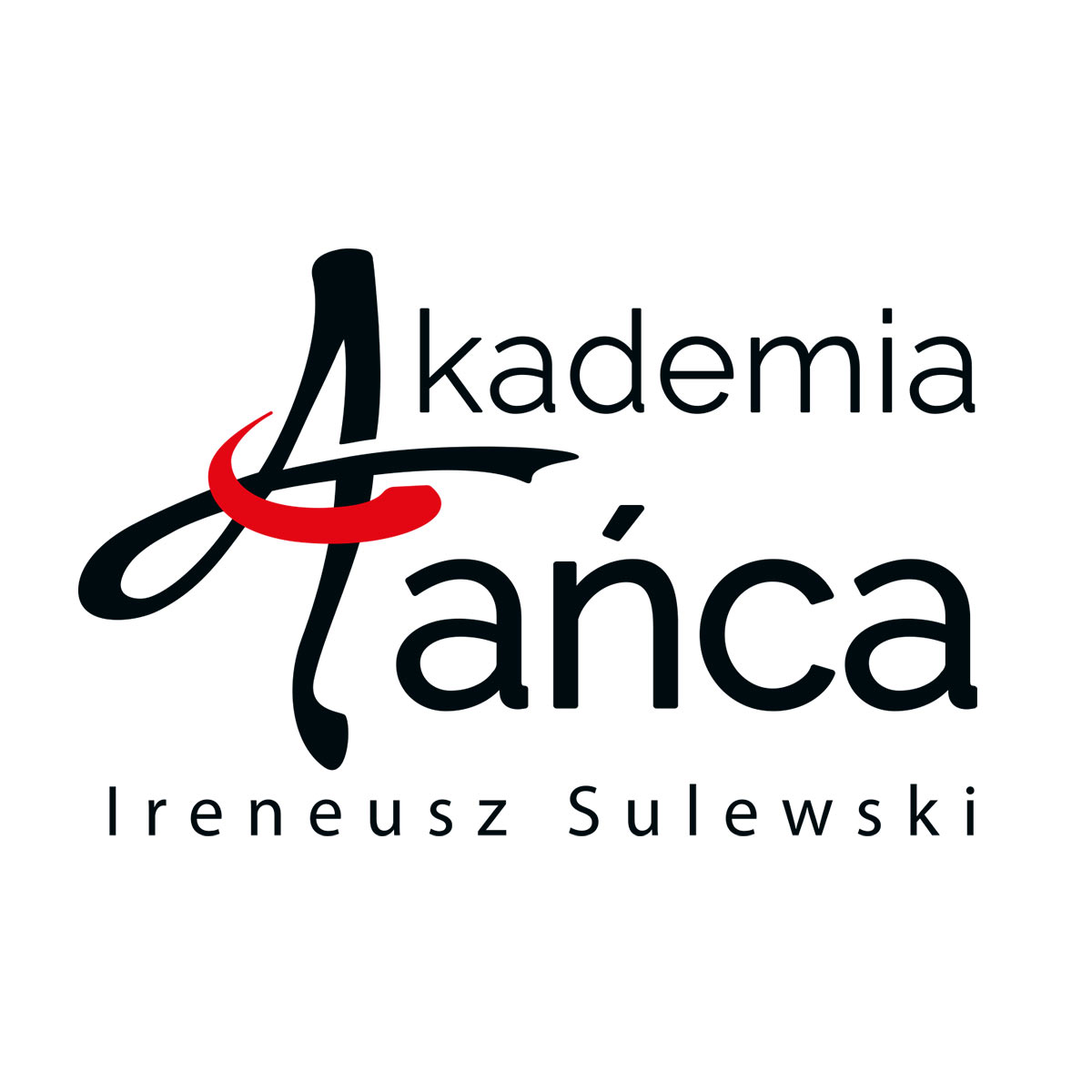 Współpraca z Akademią Tańca Ireneusza Sulewskiego